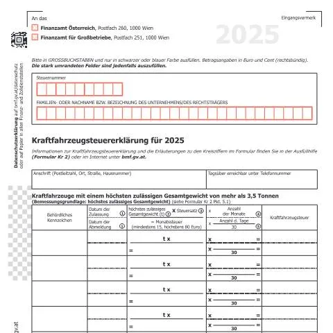 Dokumentvorschau: Wichtige Informationen zur Kr1 Kraftfahrzeugsteuererklärung 2025 — Steuern (Kr1)