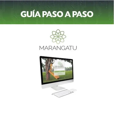 Vista previa del documento Guía paso a paso para presentar declaración sin movimiento en Paraguay — Trámites administrativos