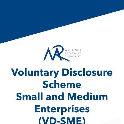 Document preview: Understanding the Voluntary Disclosure Scheme for SMEs — Taxes (CERFA n°VDISSMELeaflet)