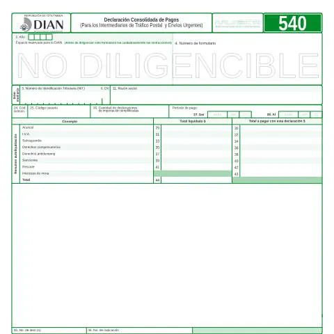 Vista previa del documento La Declaración Consolidada de Pagos: Esencial para Intermediarios de — Trámites administrativos (CERFA n°F540-2008)