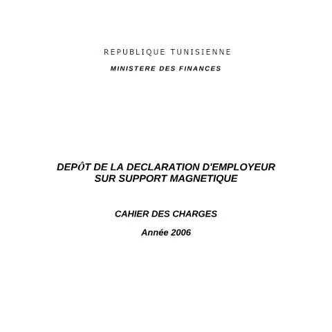 Aperçu du document Formulaire de Déclaration d'Employeur sur Support Magnétique — Démarches administratives