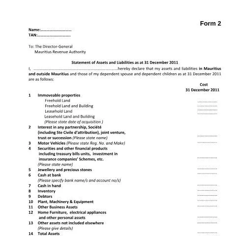 Document preview: The Role of Form 2 in Financial Transparency — Government & admin (CERFA n°Form2Amnesty2013)