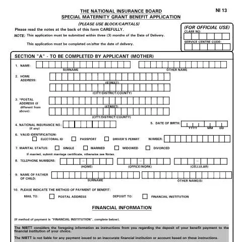 Document preview: Navigating the NI13 Form for Maternity Benefits — Government & admin (CERFA n°NI13)