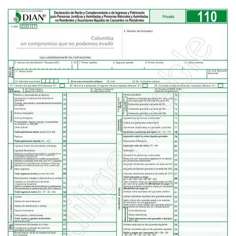 Vista previa del documento Todo sobre la Declaración de Renta F110-2018 en Colombia — Impuestos (CERFA n°F110-2018)