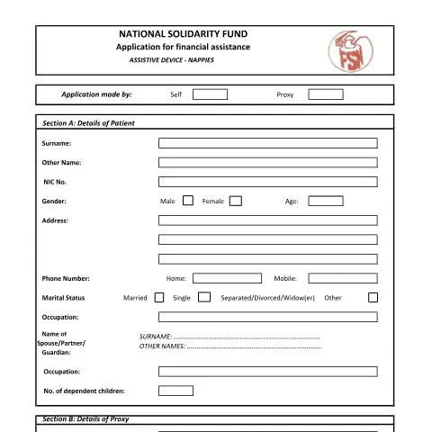 Document preview: Essential Guide to the Nappies Application Process — Health (CERFA n°Nappies)