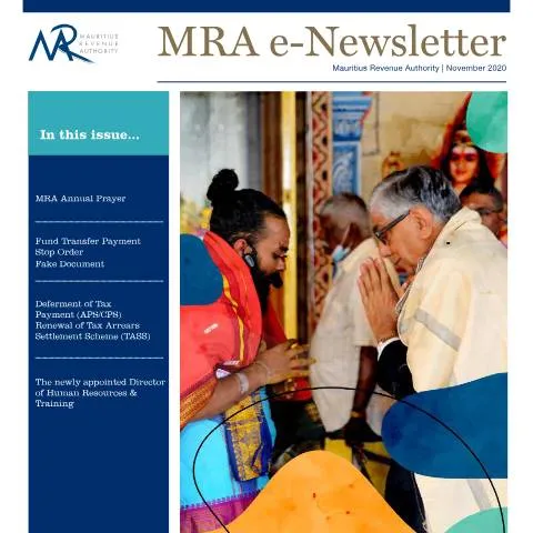 Document preview: Understanding the November 2020 Tax Form in Mauritius — Government & admin (November2020)