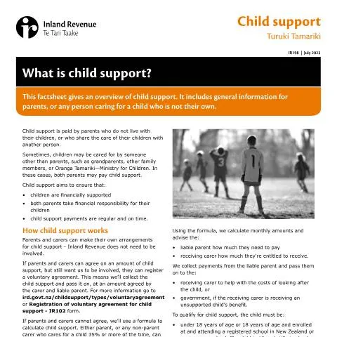 Document preview: A Comprehensive Guide to the IR198 Child Support Form — Government & admin (CERFA n°IR198)