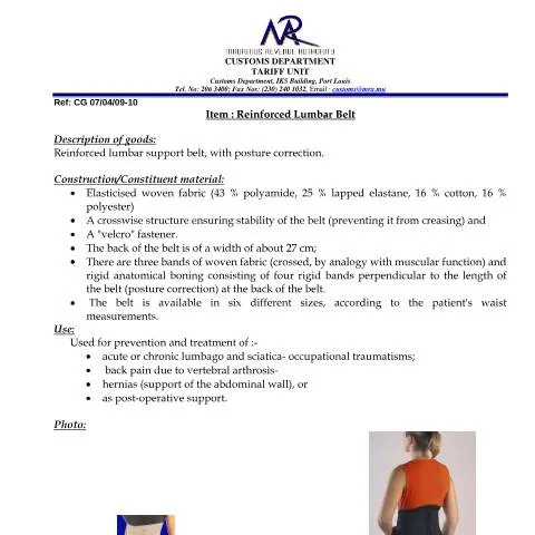 Document preview: Understanding the Classification of the Reinforced Lumbar Belt — Government & admin (Reinforced_Lumbar_Belt)
