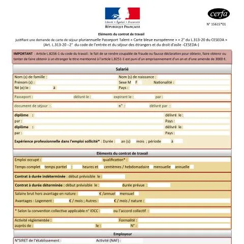 Aperçu du document Carte de séjour Talent Carte bleue : partenariat employeur-salarié — Emploi & travail (CERFA n°15615*01)