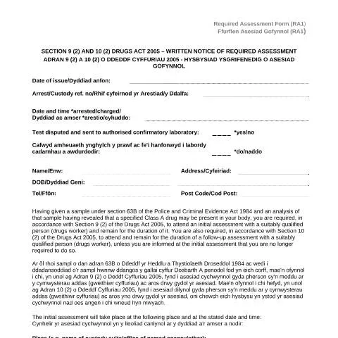 Document preview: Understanding the Required Assessment Process for Drug Offenses — Government & admin
