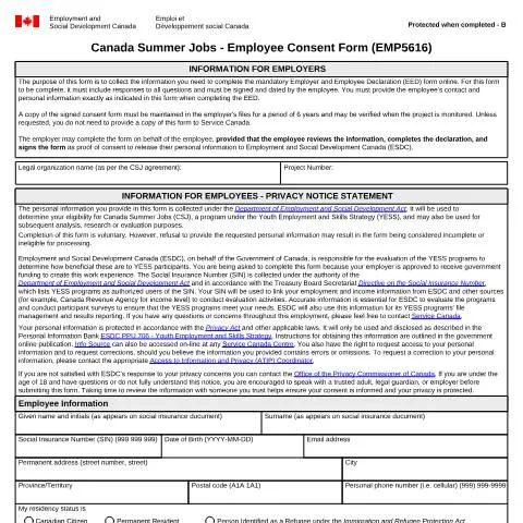 Document preview: Understanding the Employee Consent Form for Summer Jobs — Work & employment (CERFA n°EMP5616)