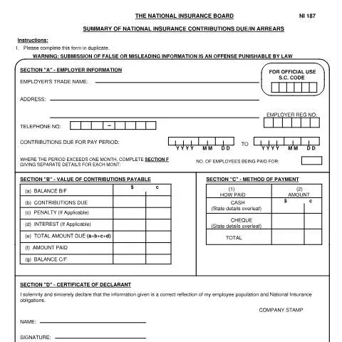 Document preview: The Importance of the NI 187 Form for Employers — Government & admin (CERFA n°NI 187)