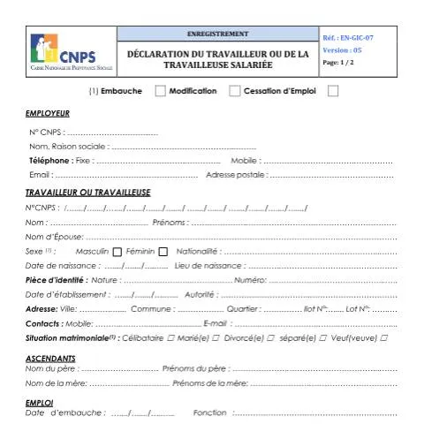 Aperçu du document Comprendre la Déclaration du Travailleur Salarié en Côte d'Ivoire — Emploi & travail