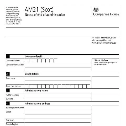 Document preview: Understanding the AM21 (Scot) Document for Scottish Companies — Business