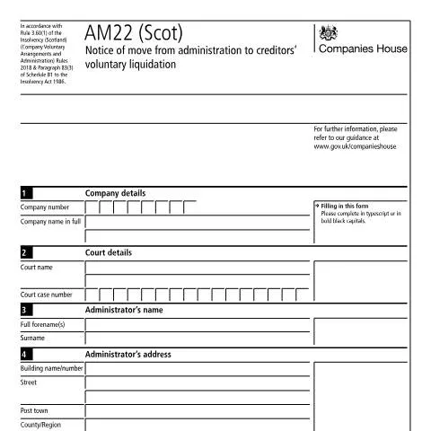 Document preview: Understanding the Transition to Creditors' Voluntary Liquidation — Business