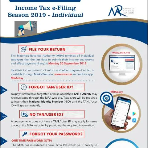 Document preview: Essential Guide to Income Tax e-Filing 2019 in Mauritius — Taxes (CERFA n°FilingSeason250919)