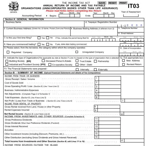 Document preview: Understanding the IT03 2023 Income and Tax Return Form in Jamaica — Taxes (CERFA n°IT03_2023)