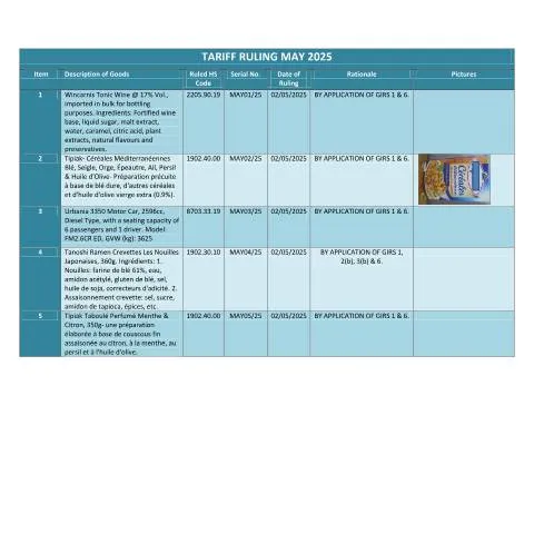 Document preview: Navigating the May 2025 Document for Importers — Government & admin (TRMay2025)