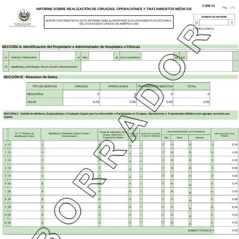 Vista previa del documento Formulario F-958-V2: Esencial para la Trazabilidad Fiscal en Salud — Impuestos (CERFA n°F-958-V2)