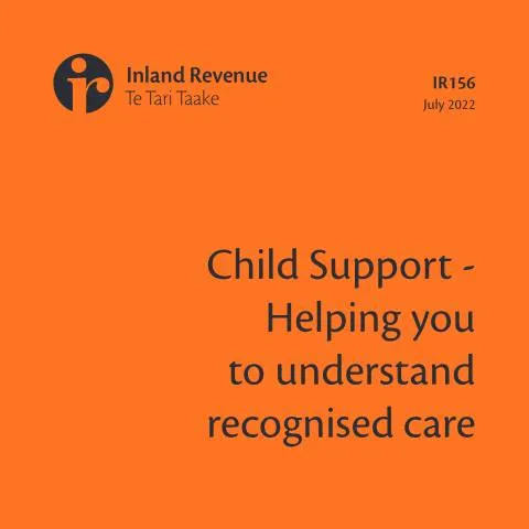 Document preview: The Importance of the IR156 Form in Child Support Assessments — Government & admin (CERFA n°IR156)