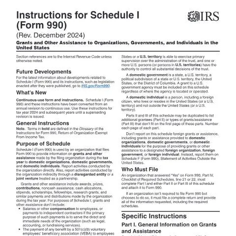 Document preview: Mastering IRS Schedule I (Form 990) Instructions — Taxes (CERFA n°INST-990SI)