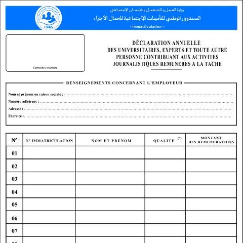 Aperçu du document Comprendre la Déclaration Annuelle IM-08 pour les Contributeurs au — Emploi & travail (CERFA n°IM-08)