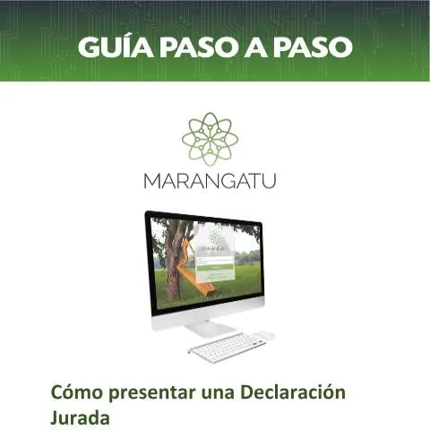 Vista previa del documento Instrucciones para presentar Declaraciones Juradas en Paraguay — Trámites administrativos