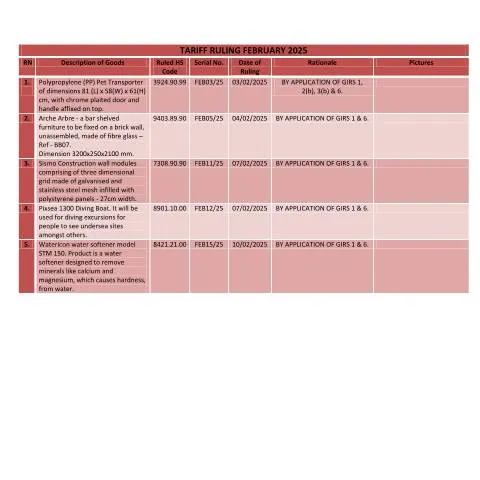 Document preview: Understanding the February 2025 Tariff Ruling in Mauritius — Government & admin (TRFeb2025)