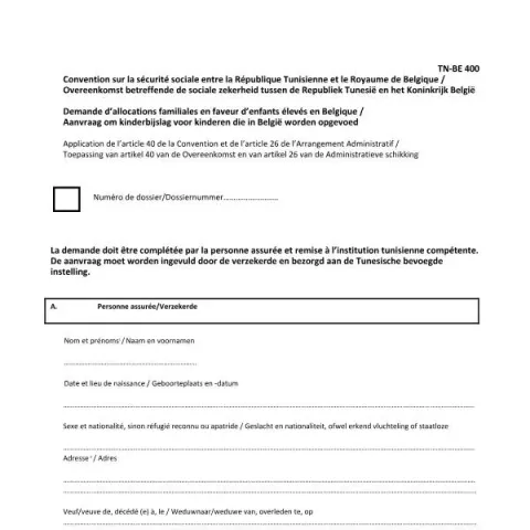 Aperçu du document Demande d'allocations familiales pour enfants en Belgique — Famille (BE-TN 400)