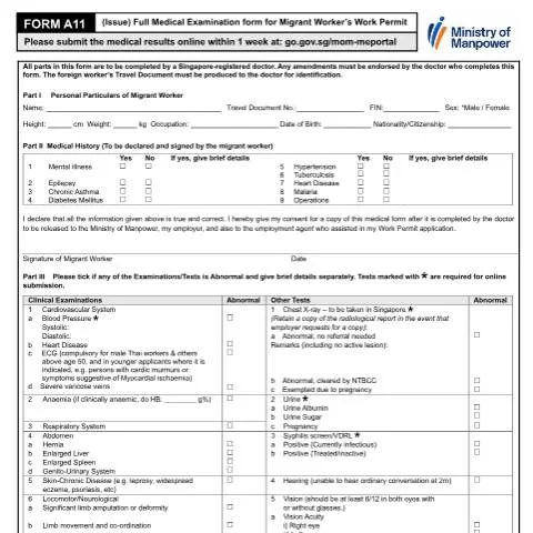 Document preview: Understanding the Full Medical Examination for Migrant Workers — Health (CERFA n°MEDICAL_FORM)