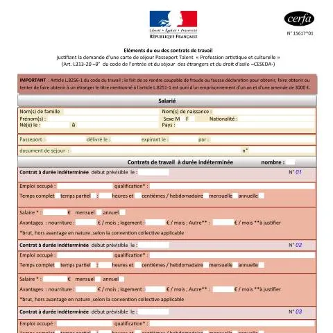 Aperçu du document Carte de séjour Talent artistique : éléments contractuels obligatoires — Emploi & travail (CERFA n°15617*01)