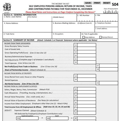 Document preview: Understanding the S04 2015 Tax Return for Jamaica's Self-Employed — Taxes (CERFA n°s04_2015)