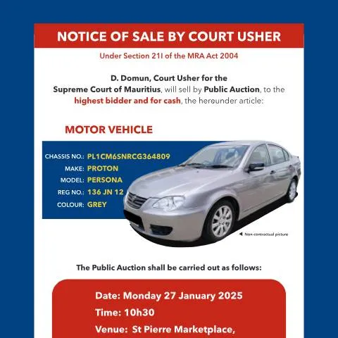 Document preview: Understanding the Court Usher Notice of Sale — Government & admin (CERFA n°Notice100125)