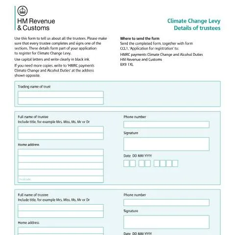 Document preview: Understanding the Climate Change Levy Trustee Details Form — Government & admin
