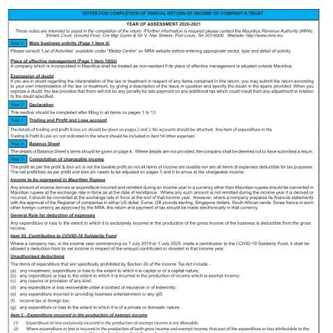 Document preview: Navigating IT033ANotes2021 for Your Annual Return — Government & admin (CERFA n°IT033ANotes2021)