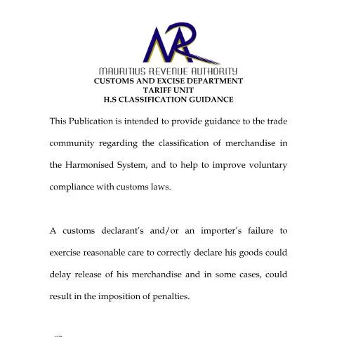 Document preview: Understanding the Importance of HS Classification Guidance Document — Government & admin (1.HS)