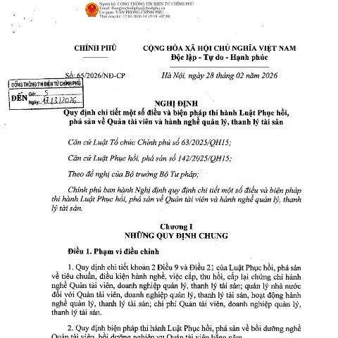 Document preview: Nghị định 65/2026/NĐ-CP: Quy định chi tiết về Quản tài viên — Ngân hàng & tài chính (CERFA n°65/2026/NĐ-CP)