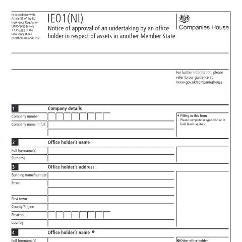 Document preview: The Importance of the IE01(NI) in Corporate Governance — Business