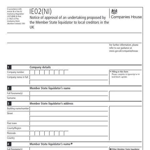 Document preview: Understanding the IE02(NI) Document for Local Creditors — Business