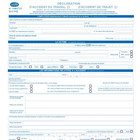 Aperçu du document Comment déclarer un accident du travail dans les 48 heures — Emploi & travail (CERFA n°14463*03 (ex-60-3682))