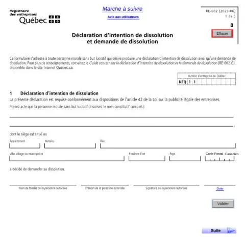 Document preview: Understanding the RE-602 Dissolution Declaration and Application (French) — Government & admin (RE-602)