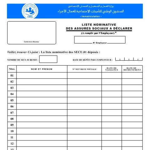 Aperçu du document Comprendre la Liste Nominative des Assurés Sociaux (IM-13) — Emploi & travail (CERFA n°IM-13)