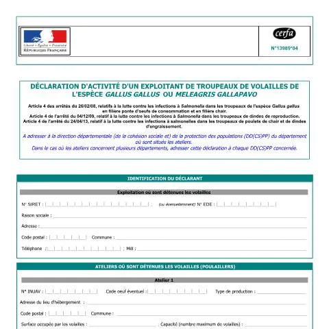 Aperçu du document Formulaire 13989*04 : déclarer son exploitation avicole Gallus gallus — Démarches administratives (CERFA n°13989*04)