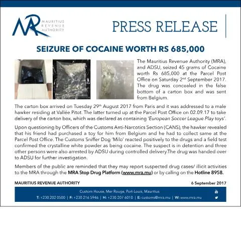 Document preview: Understanding the Rs 685,000 Cocaine Seizure Process — Government & admin (CERFA n°SeizureCocaine)