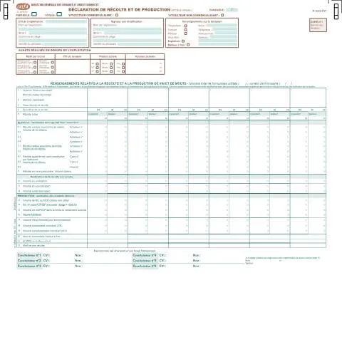 Aperçu du document Formulaire 10702*07 : comment déclarer sa récolte viticole — Démarches administratives (CERFA n°10702*07)