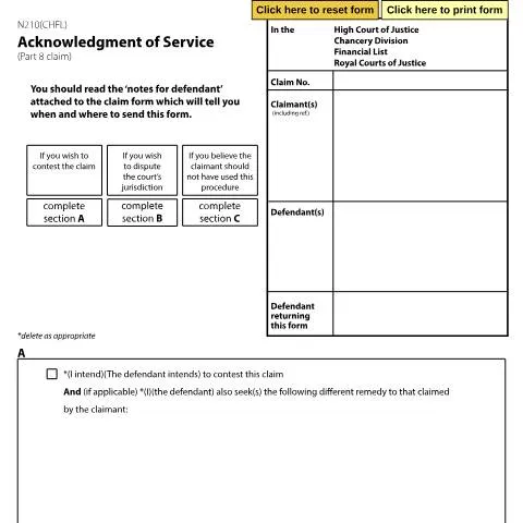 Document preview: Understanding Form N210(CHFL) in Chancery Financial List — Legal & justice