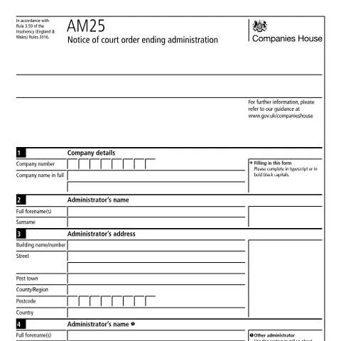 Document preview: Understanding the AM25 Notice of Court Order — Government & admin