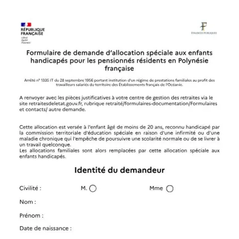 Aperçu du document Formulaire de demande d’allocation pour enfants handicapés en — Aides & prestations sociales (Cerfa 16262*01)