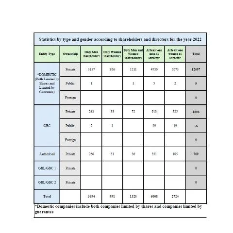 Document preview: Understanding Gender Representation in Corporate Governance — Government & admin (Statistics-by-type-and-gender-according-to-shareholders-and-directors-for-the-year-2022-2025-150526-NEW)