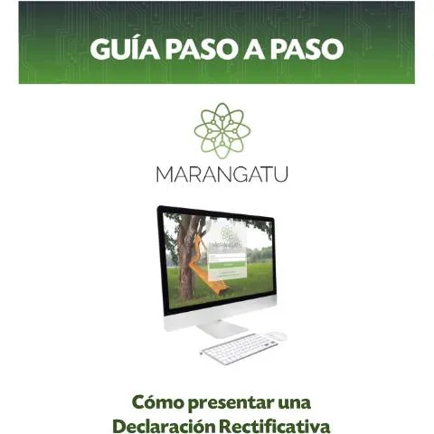 Vista previa del documento Guía paso a paso para presentar declaración rectificativa en Paraguay — Impuestos